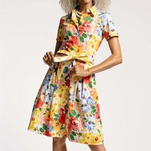Frances Valentine Bella Dress in Picnic Print NWT Size 1X
